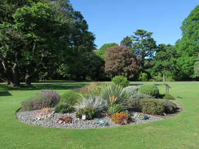 Christchurch Botanic Gardens (26. Nov.)