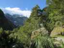 Rob Roy Glacier Track (20. Nov.)