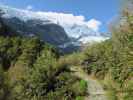 Rob Roy Glacier Track (20. Nov.)