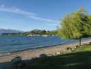 Lake Wanaka, 280 m (20. Nov.)