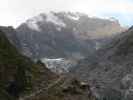 Fox Glacier Valley Walk im Westland Tai Poutini National Park (21. Nov.)