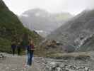 Papa am Fox Glacier Valley Walk im Westland Tai Poutini National Park (21. Nov.)