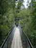 Hokitika Gorge (22. Nov.)