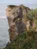 Punakaiki Pancake Rocks im Paparoa National Park (23. Nov.)