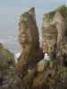 Punakaiki Pancake Rocks im Paparoa National Park (23. Nov.)