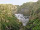 Punakaiki Pancake Rocks im Paparoa National Park (23. Nov.)