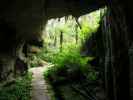 Box Canyon Cave im Kahurangi National Park (24. Nov.)