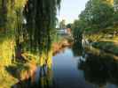 Avon River in Christchurch (25. Nov.)