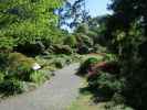 Christchurch Botanic Gardens (26. Nov.)