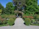 Central Rose Garden in den Christchurch Botanic Gardens (26. Nov.)