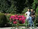 Ich und Papa im Central Rose Garden in den in den Christchurch Botanic Gardens (26. Nov.)