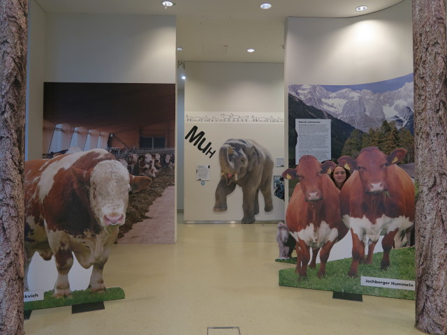 Sabine in der Sonderausstellung 'MuH - Mensch und Haustier'