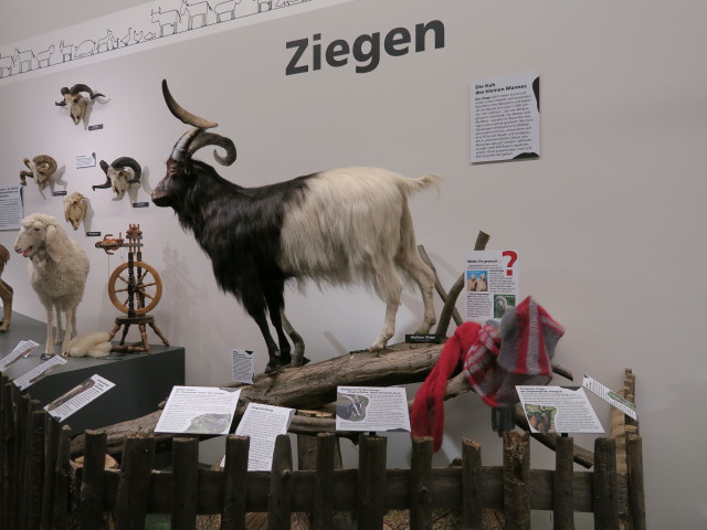 Sonderausstellung 'MuH - Mensch und Haustier'