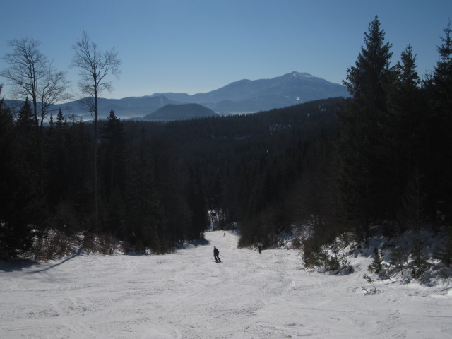 Sabine auf der Silbergraben-Abfahrt