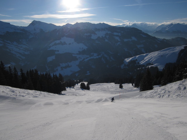 Wurzhöhe-Süd-Abfahrt