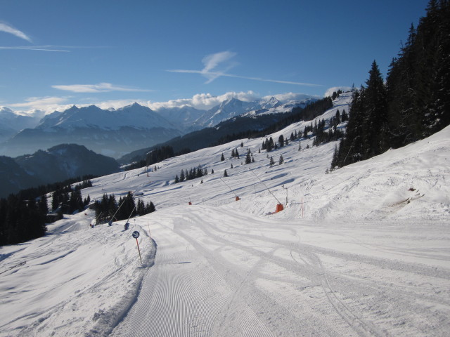 Bärenbadkogel-Abfahrt