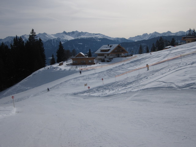 Untermarkter Alm, 1.491 m