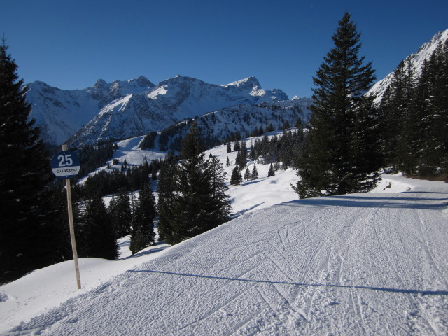 Skiweg Faregg - Parpfienz