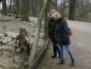 Tierpark: Sabine und Mama bei den Mufflons