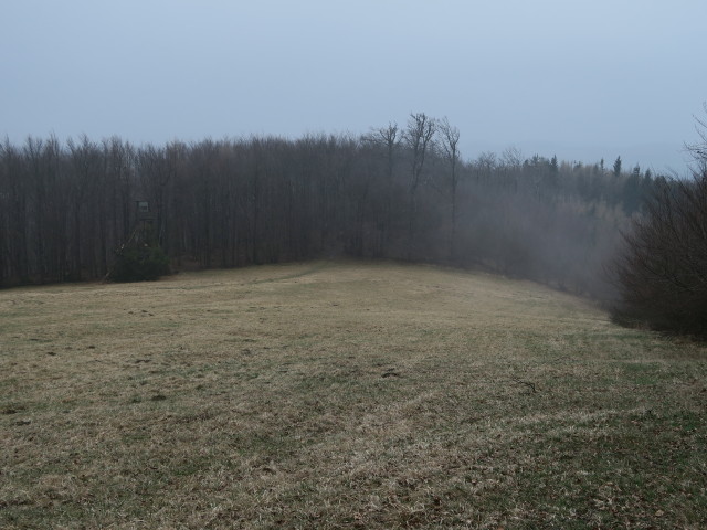 vom Wittenbachberg Richtung S&uuml;dwesten