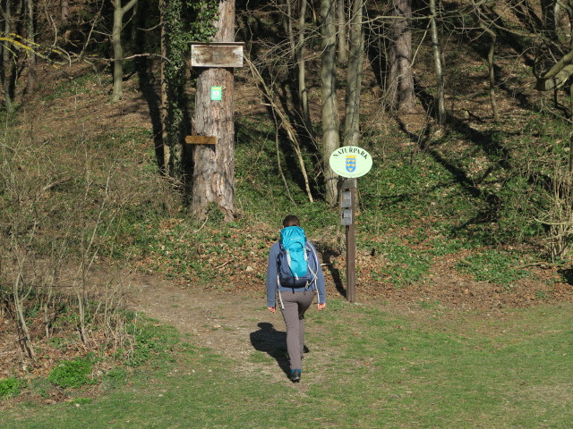 Sabine zwischen Pitten und Pittentaler Klettersteig