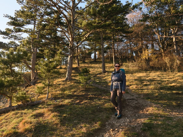 Sabine zwischen Türkensturz und Sollgraben