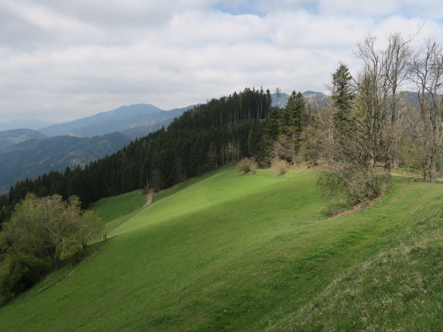 neben Weg 740 zwischen Ederkogel und Winkler