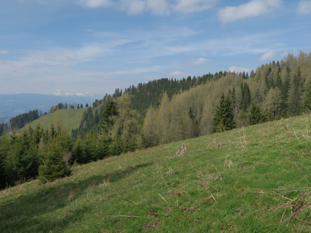 neben Weg 740 zwischen Hofbauerhütte und Eibeggsattel