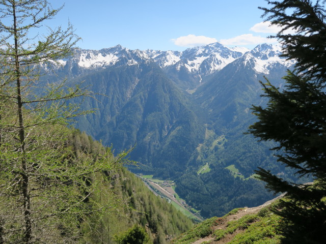 Sarntaler Alpen vom Nocksteig aus