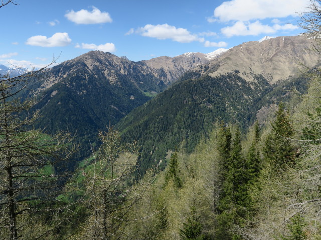 vom Nocksteig Richtung Norden