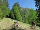 Nocksteig zwischen Kleinem Nock und Maulser Tal