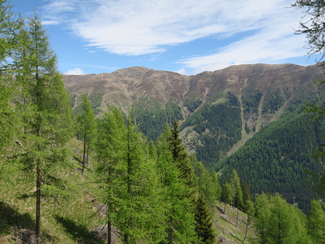 Moscheggstand (25. Mai)