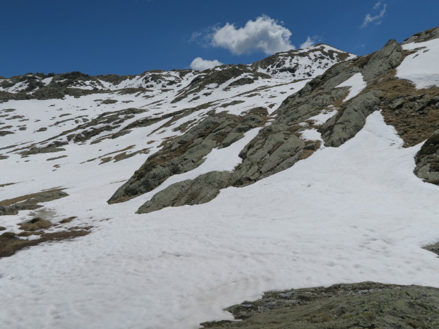 zwischen Feldnerhütte und Lackentörl (26. Mai)