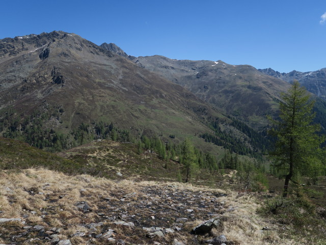 zwischen Gursgenbach und Seidernitzsee (27. Mai)