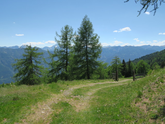 Weg J3 zwischen Seidernitztörl und Pirkeralm (27. Mai)