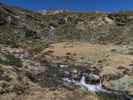 zwischen Feldnerhütte und Lackentörl (26. Mai)