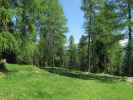 zwischen Pirkeralm und Gasthof Bergheimat (27. Mai)