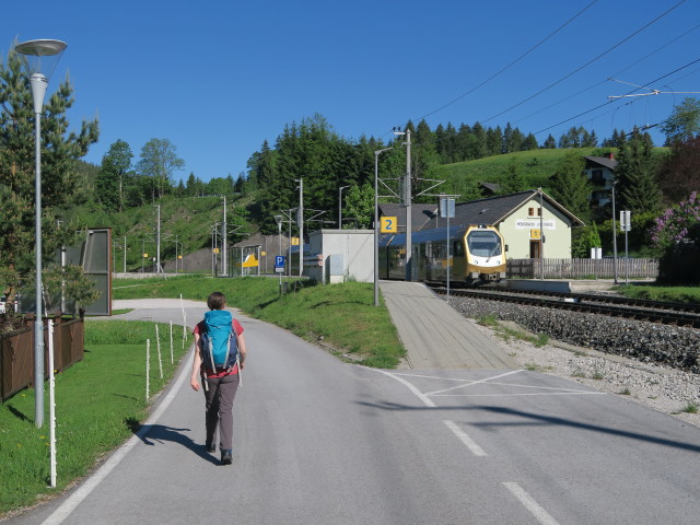 Sabine beim Bahnhof Wienerbruck-Josefsberg, 795 m