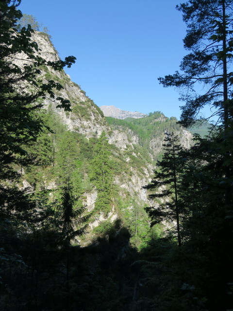 Lassingschlucht