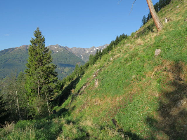 Weg 577 zwischen Pfaffenberg und Oberhoferh&uuml;tte
