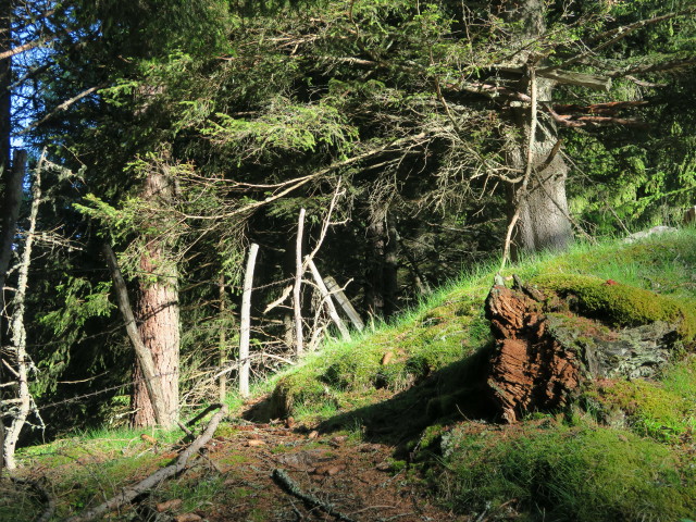 neben Weg 577 zwischen Oberhoferh&uuml;tte und Leutschacher H&uuml;tte