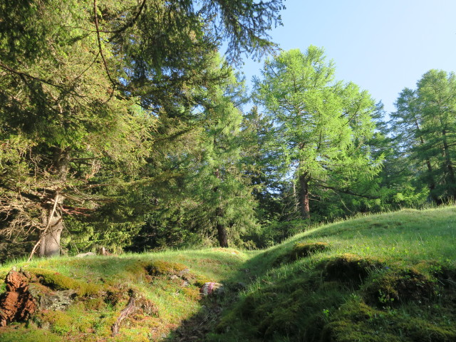 Weg 577 zwischen Oberhoferh&uuml;tte und Leutschacher H&uuml;tte