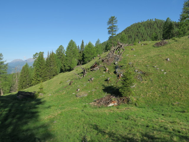 Weg 577 zwischen Oberhoferh&uuml;tte und Leutschacher H&uuml;tte