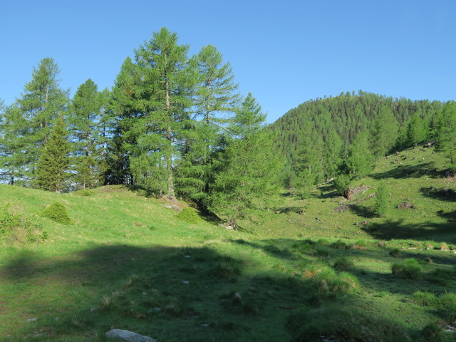 Weg 577 bei der Leutschacher H&uuml;tte