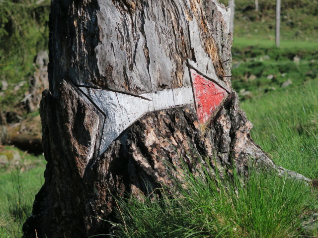 Weg 577 zwischen Leutschacher H&uuml;tte und Lerchbaumerh&uuml;tte