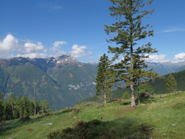 Weg 577 zwischen Lerchbaumerh&uuml;tte und Groneck