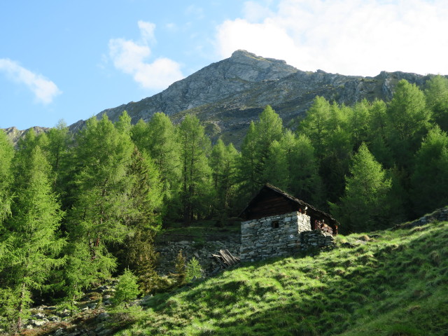 Weg 577 zwischen Lerchbaumerhütte und Groneck