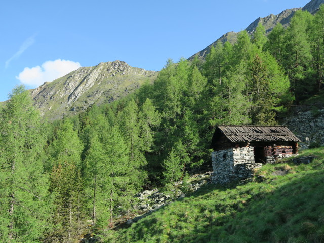 Weg 577 zwischen Lerchbaumerh&uuml;tte und Groneck