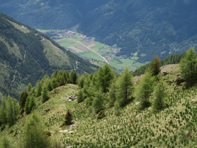 Weg 577 zwischen Groneck und Lerchbaumerh&uuml;tte