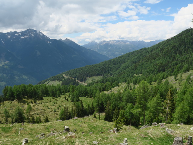Weg 577 zwischen Groneck und Lerchbaumerh&uuml;tte